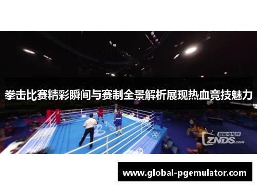 拳击比赛精彩瞬间与赛制全景解析展现热血竞技魅力