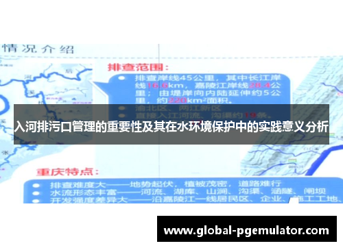 入河排污口管理的重要性及其在水环境保护中的实践意义分析