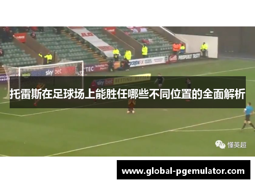 托雷斯在足球场上能胜任哪些不同位置的全面解析