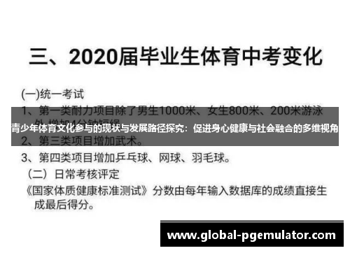 青少年体育文化参与的现状与发展路径探究：促进身心健康与社会融合的多维视角
