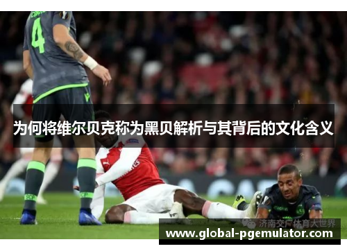 为何将维尔贝克称为黑贝解析与其背后的文化含义