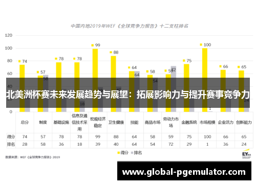 北美洲杯赛未来发展趋势与展望：拓展影响力与提升赛事竞争力