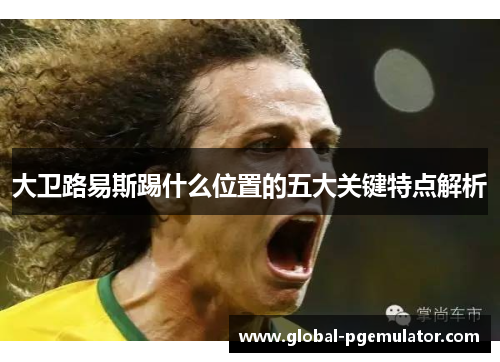 大卫路易斯踢什么位置的五大关键特点解析