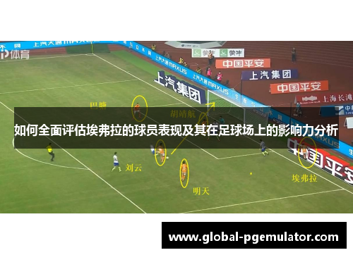 如何全面评估埃弗拉的球员表现及其在足球场上的影响力分析