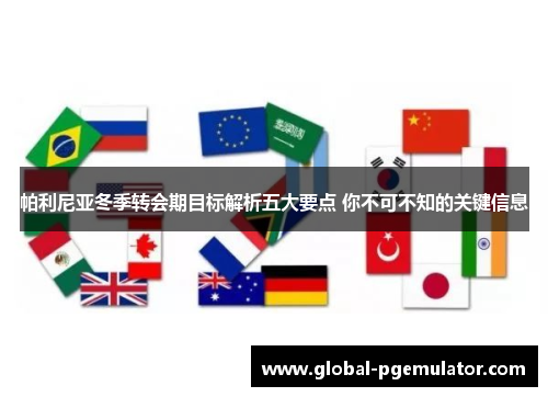 帕利尼亚冬季转会期目标解析五大要点 你不可不知的关键信息